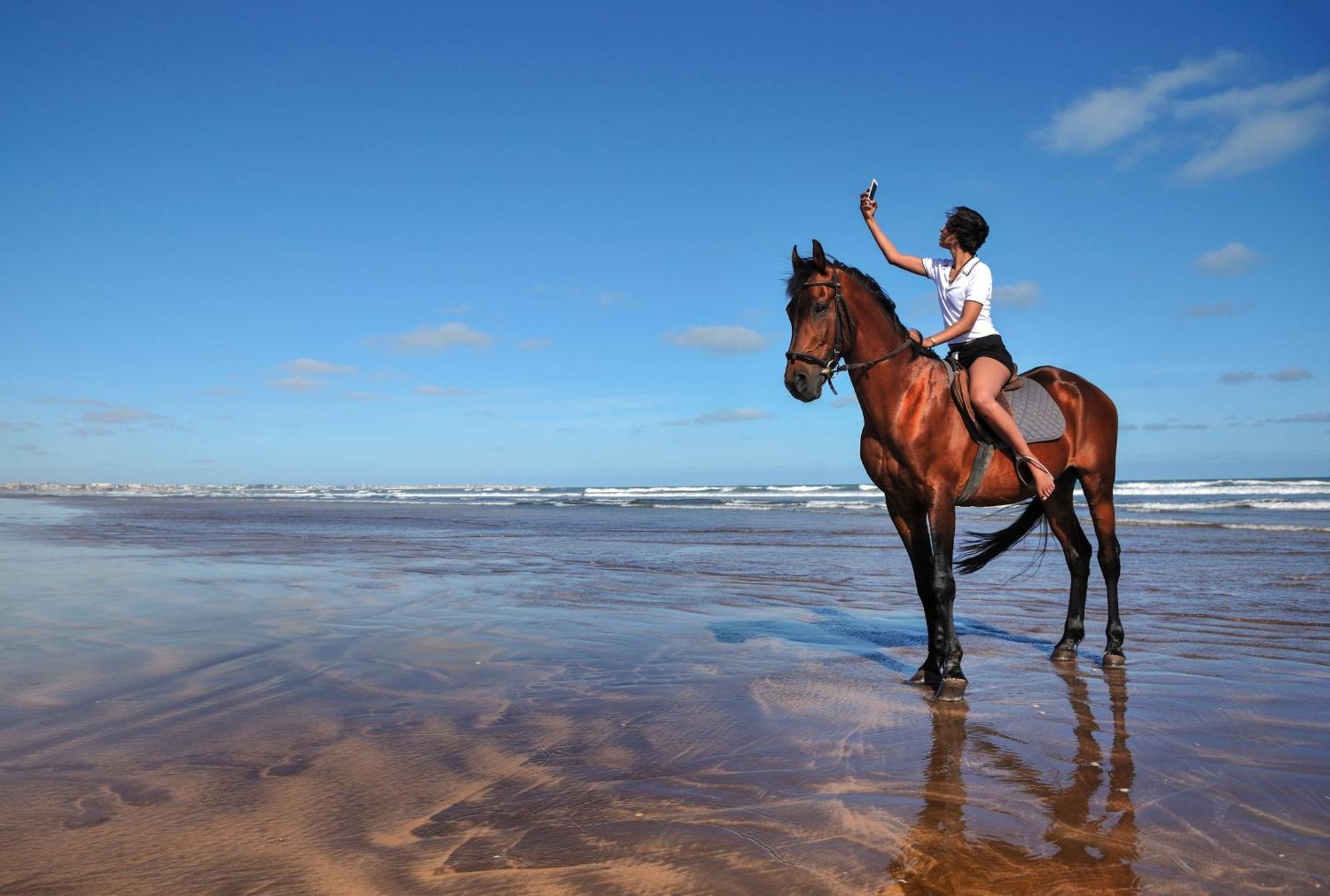 Pullman Mazagan Royal Golf & Spa Эль-Джадида Экстерьер фото A horse on the beach